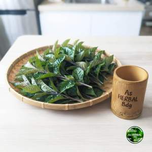 Paket 500 gram daun keji beling pecah beling segar BONUS kumis kucing-az