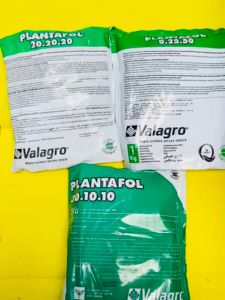 Pupuk Daun buah PLANTAFOL 20.20.20 1 kg dr VALAGRO joss tenan!!!