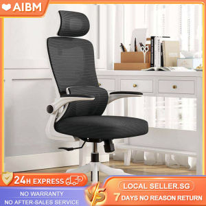 AIBM High-Back Ergonomic Home Office Chair With Adjustable Armrest With Lumbar Support Study Gaming Chair Lumbar Support Chair