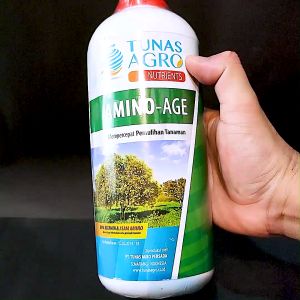 PUPUK ASAM AMINO - AMINO AGE 1 LITER - TUNAS AGRO nutrisi mikro nutrisi makro Nutrisi Tanaman Berkualitas Aplikasi Pupuk Berbasis Amino - Lazada