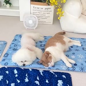 HATELI Summer Pet Ice Cushion Dog Cool Mat Cat Cooling Heat Prevention Sleep Bed Ice Pad Dog Nest Cool Cushion