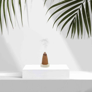 Sage Tower Incense Cones Peru Holy Wood California Space Cleaning Smoke Cone Fragrance Air Purification Relaxing Essential Oil