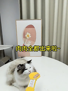 猫条喂食器挤压器猫咪喂食勺喂猫条神器宠物零食专用猫条勺子用品