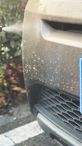 CGL Acid Rain Remover for Car Stain Remover for Car Body Removes Bugs and Road Stains - Free Towel