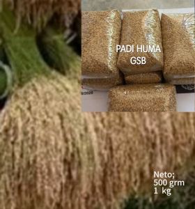 Benih bibit padi beras merah unggul pilihan padi huma padi darat 1 kg