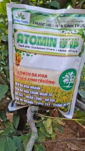 [VTNN TIEN KHOA] Điều Hòa Sinh Trưởng Kích Ra Hoa Ngắn Lóng Cứng Cây - ATOMIN 15WP 1KG (Paclobutrazol 15%)