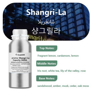 ESAEON Hotel Fragrance Diffuser Essential Oils - For Waterless Aromatherapy Machines Reverse Paris/Hilton - 500ML (16.9 fl.oz)