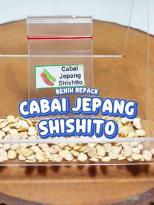 Benih Cabai Jepang Shishito Unggulan & Cara Budidayanya