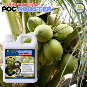 Pupuk Buah Kelapa / Pupuk Kelapa Agar Cepat Berbuah / Pupuk Booster Buah Kelapa / Pupuk INTERFARM 1L