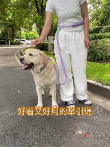 hipidog | Anti-jolt Crossbody Leash for Dogs