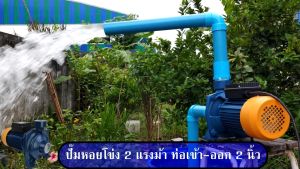 2 แรงไฟบ้าน 220v ปั้มน้ำหอยโข่งทรงอิตาลี 2 นิ้ว ขดลวดทองแดง มิตซูแม๊กซ์ MX2220