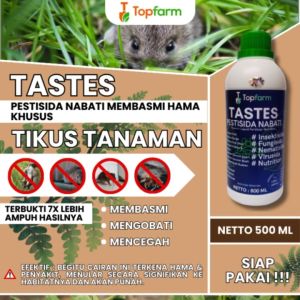 Obat Tikus Untuk Di Sawah / Obat Tikus Paling Ampuh / Obat Tikus Yg Ampuh / Obat Tikus Cair / Obat Hama Tikus Dan Burung / Obat Pengendali Hama Tikus / Obat Hama Tikus Untuk Padi
