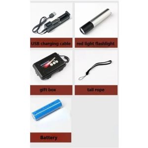 Red Light Led Flashlight Pain Relief Portable Red Light Therapy Muscle Pain Infrared Lamp Led Therapy Skin Care Pet-friendly