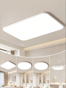 DGY | All Room Modern Simple Ceiling Light