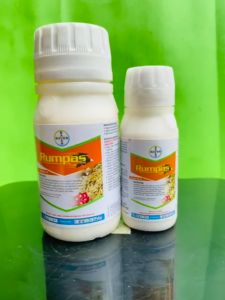 Herbisida Bayer RUMPAS 120EW: Solusi Efektif Mengendalikan Rumput Liar