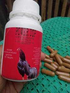 Power Top imported D-bal B15 Ginseng ATP For Gamefowl Chicken Stamina And Power Endurance