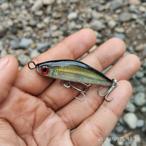 UMPAN HAMPALA SWIMMER MOTIF WADER CAKUL