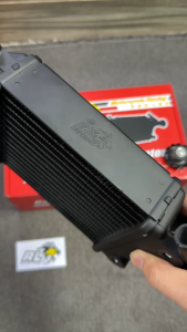 Két nước lớn RedLeo cho Vario 160Lead 4 Val MS03