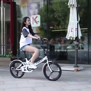 20 Inch Folding Bike Foldable Bicycle Cycling Mountain Bike Off-road City Original SHIMANO Dual Disc Brake Foldable Bike Double Disc Brake For Childrens Shock Absorber Bike