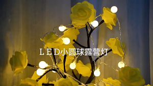Battery LED Ball Fairy String Lights Warm Ambient Decorative Lighting for Bedroom Wedding Party Home Decor高级感LED圆球串灯