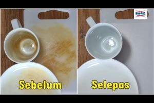 (Fresh Batch) WJS Kao Magiclean Kitchen Bleach Power Regular Cleaner 500ml Kitchen Cleaner Kitchen Bleaching Pencuci Dapur 600ml GREEN FREE RM 50 VOUCHER