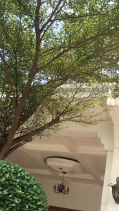 Gamis/Gaun Panjang Muslimah Casual Wear Remaja Daily Super Simple 01