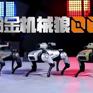 Đồ Chơi Mô Hình Thu Nhỏ Robot Wolf Dành Cho Trẻ Em - Hợp Kim Đúc Cảm Ứng Âm Thanh & Ánh Sáng Tuổi Thọ Pin Lâu Dài Màu Xanh Lá cây/Bạc/Xám