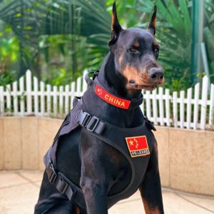 CHONGWUWAICHUAN | Adjustable Anti-surge Dog Collar
