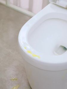 FaSoLa | Anti-Splash Urine Pad Adhesive Dirty Resistance Toilet Accessory