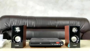 DVD player Multi-Region Player TV HDMI CD Player Remote RCA Cables Home USB Port Formats Regions Durable Metal Casing