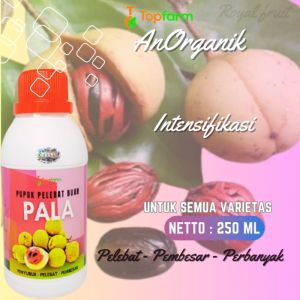 Pupuk Buah Pala Super Lebat / Pupuk Khusus Buah Pala / Pupuk Booster Buah Pala / Pupuk Pelebat Buah Pala / Pupuk Buah Pala