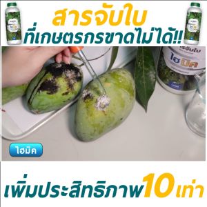 ไฮมิค ตราเทพมงคล สารจับใบ ยาจับใบ ( ขนาด 1 ลิตร ) สารเสริมประสิทธิภาพ สูตรเข้มข้น ช่วยยึดเกาะติดใบพืชและแมงได้ดี ทนการชะล้าง