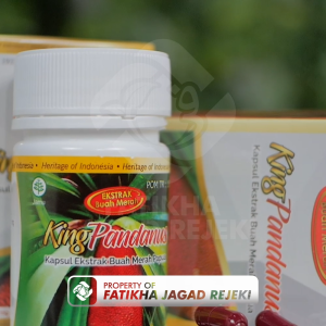 KING PANDANUS Kapsul Herbal Antioksidan Ekstrak Buah Merah Papua - Pencegah Kolesterol & Diabetes | BPOM & HALAL | 45 Kapsul