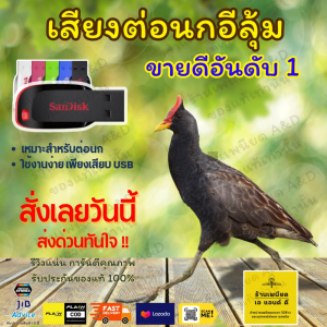 Flash Drive เสียงต่อ นกอีลุ้ม – คมชัด 6 ชั่วโมง ไม่มีโฆษณา | ส่งด่วน Flash Express | เก็บเงินปลายทาง