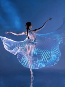 ของตกแต่งสำหรับถ่ายภาพ นักเต้นรำท้องสีขาว แวววาว เคลือบเงิน โปร่งใส สำหรับการแสดง แฟชั่น งานแต่งงาน งานเลี้ยงสัตว์