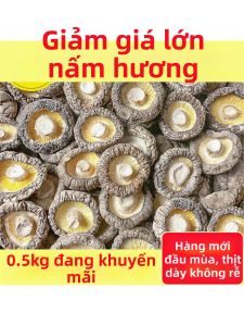 Nấm Hương Khô Không Cuống Mới Thu Hoạch