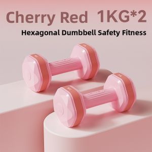 PINJIAN | Fitness Tummy Reduction Dumbbells 2kg Pair