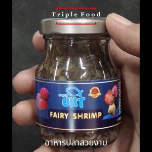 ไรนางฟ้า อาหารปลา Fish Food UHT อาหารปลากัด ปลาทอง อโรวาน่า มังกร ปอม เทวดา เต่าญี่ปุ่น ยังมี อาทีเมีย ไลแดง ลูกน้ำ ไข่ไรนางฟ้า ไรน้ำนางฟ้า ใบหูกวาง ด่างทับทิม