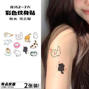 Cute Kitten Tattoo Sticker Waterproof Womens Long-Lasting Painted Small Picture Ins Style Tattoo Sticker 2024 New Arrival Scar Cover up