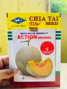 Benih Melon Hibrida F1 ACTION ORANGE 550 biji Cap Kapal Terbang MANTAB