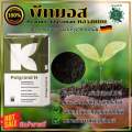 พีทมอส  (Peat Moss ) วัสดุปลูก สำหรับเพาะเมล็ด เพาะกล้า เกรดพรีเมี่ยม นำเข้าจากเยอรมัน (พีทมอส คลาสแมน แบบตักแบ่ง). 