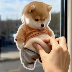 UBT | Stress Relief Toy Squeezy Dog