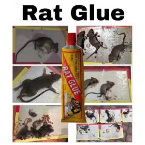 RAT GLUE NON POISONOUS GLUE Pembunuh tikus dan serangga Penghapus segala serangga tikus Gam tikus yang tidak beracun Pembunuh tikus yang sangat cekap gam tikus rat glue pembunuh tikus
