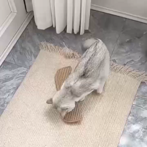 ของเล่นแมว มีแคทนิปในตัว หมอนแมว ไพรแมวบริสุทธิ์100% เชือกปอที่ทนทานเป็นพิเศษ หมอนกาบสมุนไพรแมวเหมียว-D23