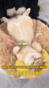 หวีกำจัดขนสัตว์เลี้ยง หวีขนแมว หมา หวีแปรงขนสัตว์เลี้ยงABS+สแตนเลส ล้างน้ำได้