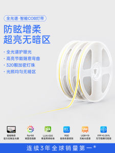 สายไฟ LED ความดันต่ำ 24V สำหรับตกแต่งบ้าน ห้องนั่งเล่น ไม่มีหลอดไฟหลัก ติดผนัง แถบไฟฟ้าอ่อนแบบยืดหยุ่น