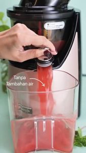 KUVINGS EVO 820 WHOLE SLOW JUICER ORIGINAL