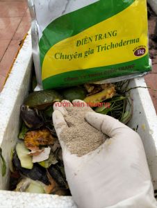 Trichoderma 1kg Điền Trang Vi Sinh Vật Ủ Rác Màu Phân Hủy Phân Bón Cho Cây