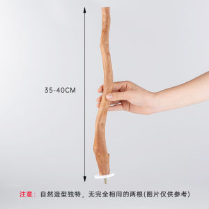 Parrot Stand Rod Azalea Root Branch Natural Log Stand Stick Bird Cage Accessories Perch Wood Branch Stand Stick Xuanfeng Bird Supplies