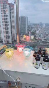 Đèn xông tinh dầu Quả Dứa thủy tinh cường lực cao cấp điều chỉnh cường độ sáng